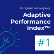 Program rozwojowy Adaptive Performance Index™ – grafika promująca diagnozę stylu działania w sytuacjach presji i zmiany